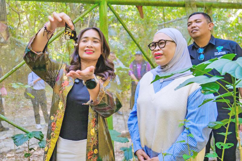 TN Bantimurung-Bulusaraung Tawarkan Wisata yang Berbaur d...