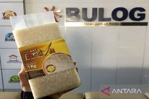 YLKI Soroti Beras Fortifikasi Tak Sesuai Label, Hak Konsumen Dipertaruhkan