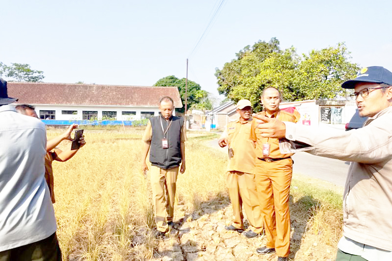 176 Hektare Sawah Garut Puso Total, Dispertan Turun Tangan Janjikan Bantuan Benih