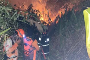 Karhutla Hanguskan 3 Hektare Lahan di Candi Laras Selatan Kalsel