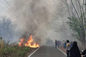 Karhutla Jadi Sorotan, Penegakan Hukum Jangan Berhenti di Individu