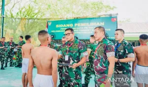 Kodam Pattimura Pastikan Seleksi Prajurit Transparan