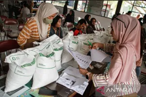 Pemerintah Perlu Pastikan Sebaran Pasokan Beras Sesuai Kebutuhan Masyarakat