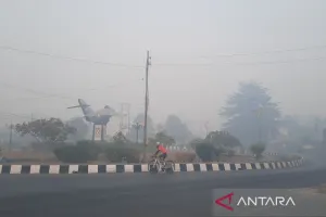 Udara Segar yang Kini Jadi Kemewahan di saat Karhutla