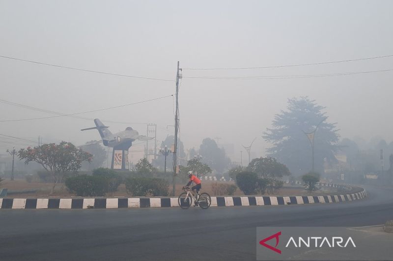 Udara Segar yang Kini Jadi Kemewahan di saat Karhutla