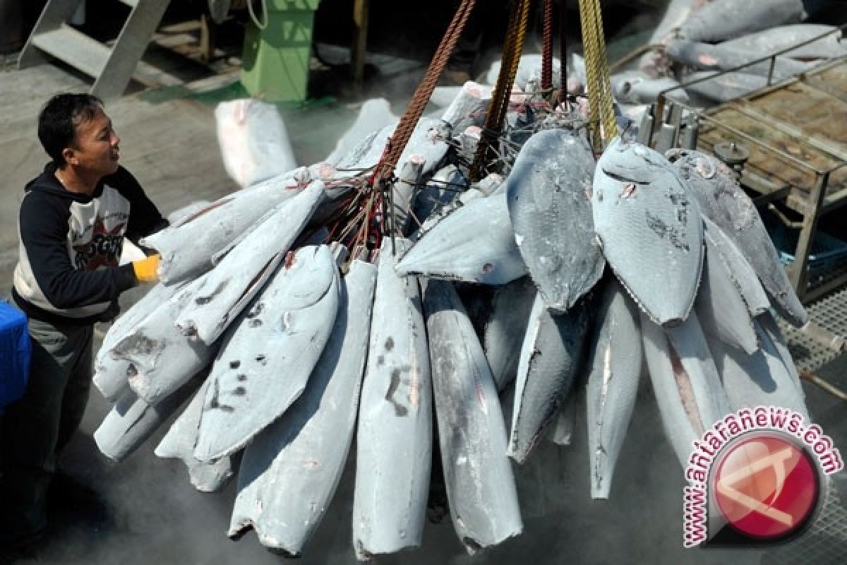 UMKM Perikanan Terjepit Biaya Sertifikasi, DPR: Jangan Bebani Pelaku Kecil!