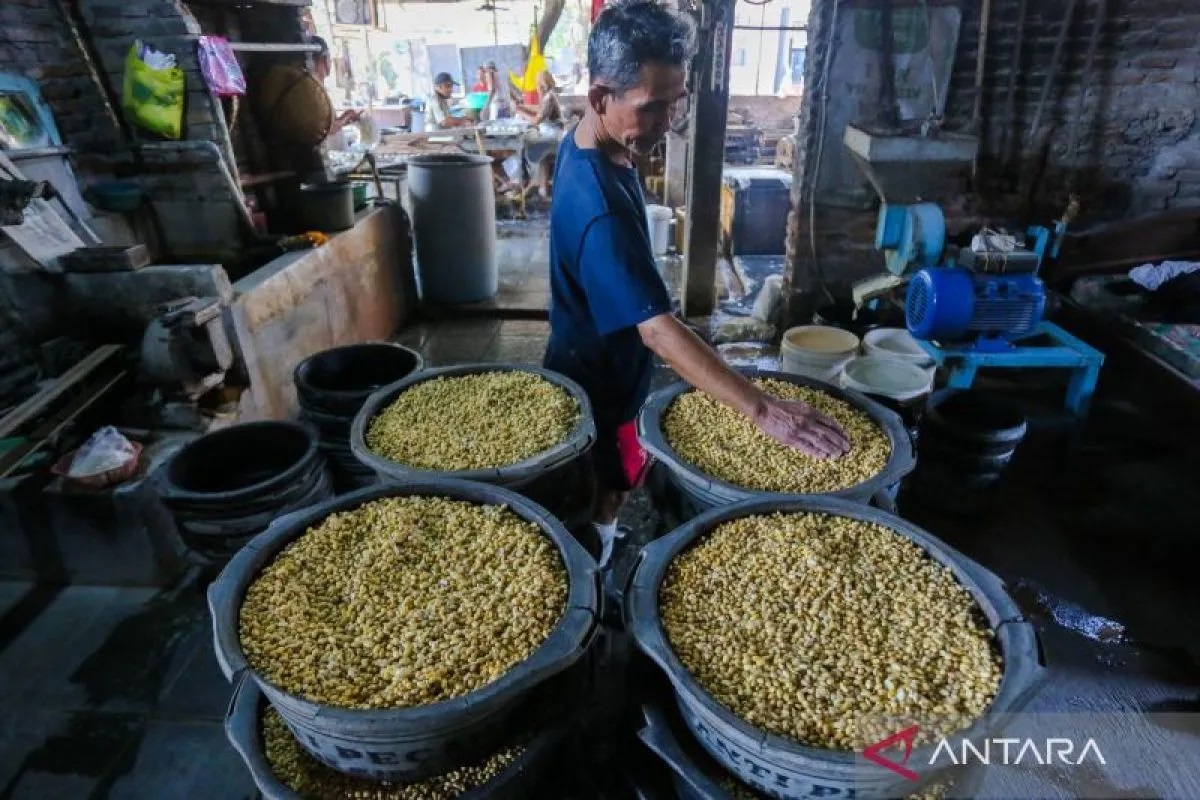 Bapanas Pastikan Stok Kedelai Aman Hingga Akhir Tahun 2026