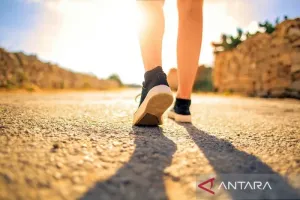 Jangan Remehkan Naik Tangga! Kebiasaan Sederhana Ini Bisa Bantu Panjang Umur