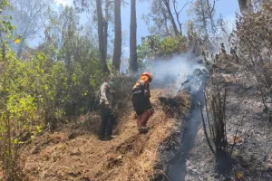 Kebakaran Gunung Butak Akhirnya Padam Total, Ini Langkah Perhutani Berikutnya