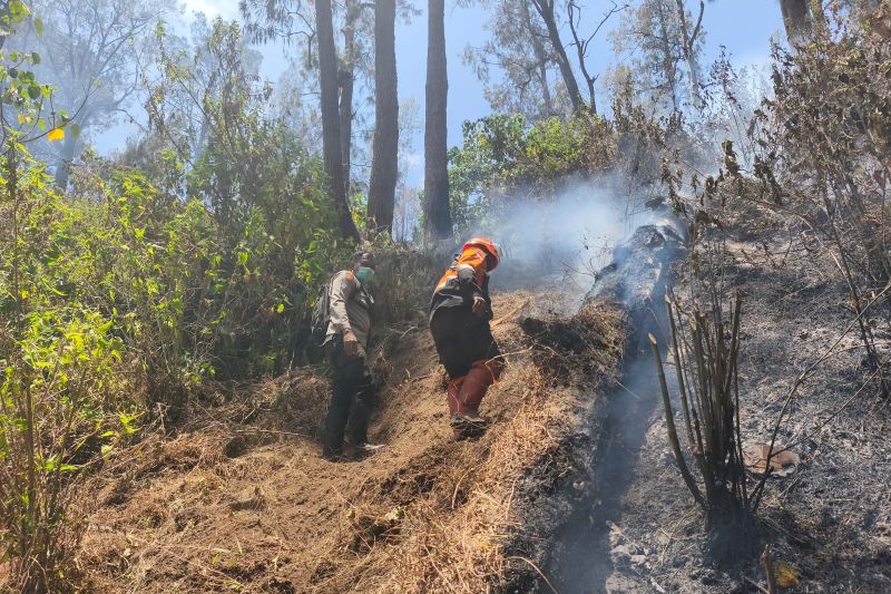 Kebakaran Gunung Butak Akhirnya Padam Total, Ini Langkah ...