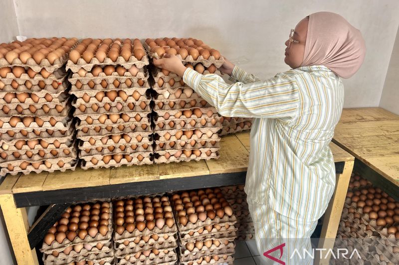 Meski Harga Telur di Gorontalo Turun, Permintaan Pangan Tetap Terjaga