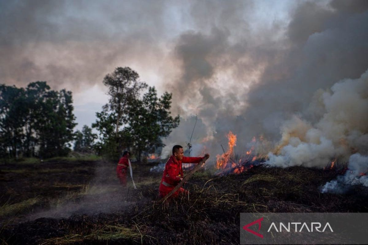 Pengusutan Kasus Karhutla Jangan Berhenti di Perorangan