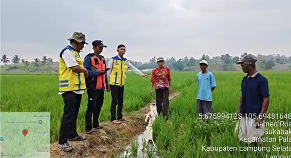 35 Hektare Sawah di Lampung Nyaris Gagal Panen, KemenPU Kerahkan Pompa Air dari Bendung Way Pisang
