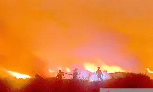 BPBD Banjarmasin Kerahkan Personel Bantu Penanganan Karhutla di Banjar dan Batola