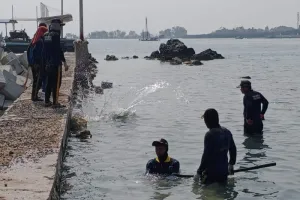 Cegah Abrasi, Pemkab Kepulauan Seribu Bangun Tanggul Pantai di Pulau Kelapa Dua 