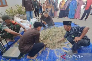 Inovasi UTM Bikin Pakan Ternak Naik Level, Peternak Didorong Makin Mandiri