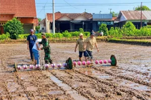 Jaga Ketersediaan Pangan, Pemkab Pekalongan Perluas Tanam Pertanian Modern 