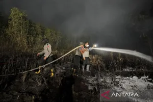 Karhutla Ancam Area RS Sambang Lihum, Begini Langkah Cepat Polda Kalsel