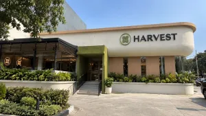 Rebranding Harvest: Dari Kue Perayaan Menuju Kebahagiaan Setiap Hari