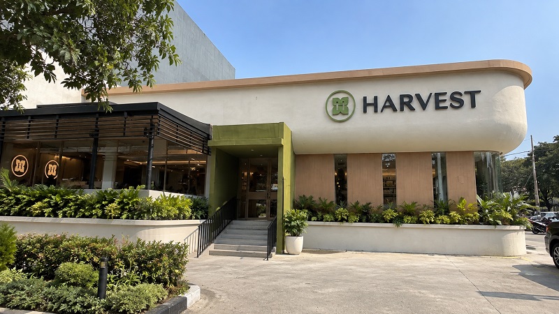 Rebranding Harvest: Dari Kue Perayaan Menuju Kebahagiaan ...