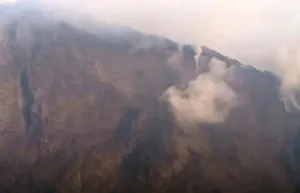Tim Gabungan Padamkan Kebakaran Lahan di Gunung Rinjani Resort Torean