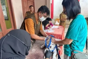 Hari Rabies Sedunia, Pemkot...