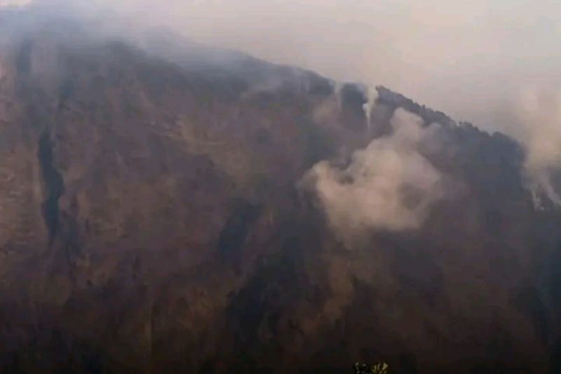 Karhutla di TN Gunung Rinjani, BNPB: Tak Ada Warga Terdam...