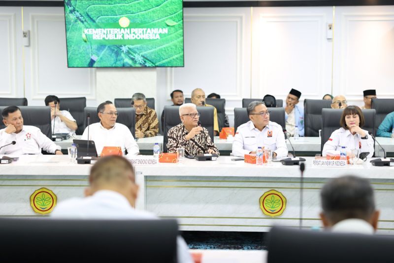 Masyarakat Singkong Indonesia Sebut Setop Impor Singkong ...