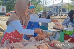 Pemerintah Kota Pangkalpinang Gelar Pasar Murah Daging Ayam