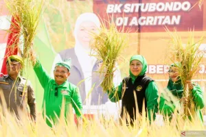 Produksi Padi Jawa Timur Diprediksi Mencapai 9,86 Juta Ton GKG hingga Oktober 2026