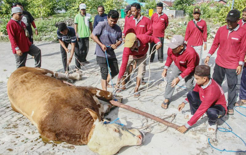 Puluhan Juleha Dilatih Kemenag untuk Tingkatkan Kapasitas...