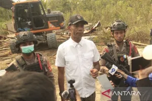 Aktivitas di Tahura Bukit Soeharto Disorot, OIKN Pastikan Penegakan Hukum Berjalan.