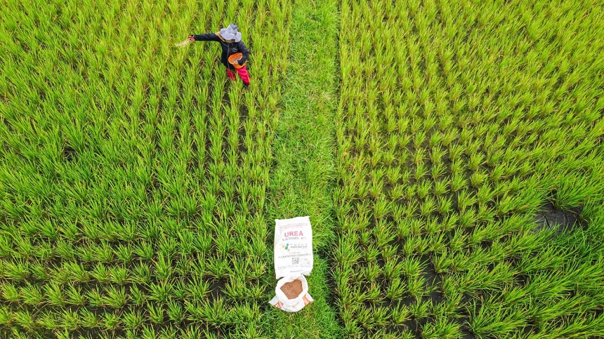 Hari Tani 2026, Pupuk Indonesia Pastikan Pupuk Terjangkau dan Mudah Diakses Petani.