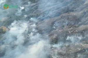 Karhutla Gunung Rinjani Capai 589 Hektare