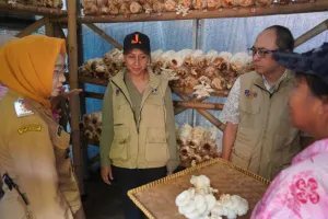 Kelurahan Jakarta Selatan Menjadi Contoh Penataan Lingkungan di Benyamin S Award