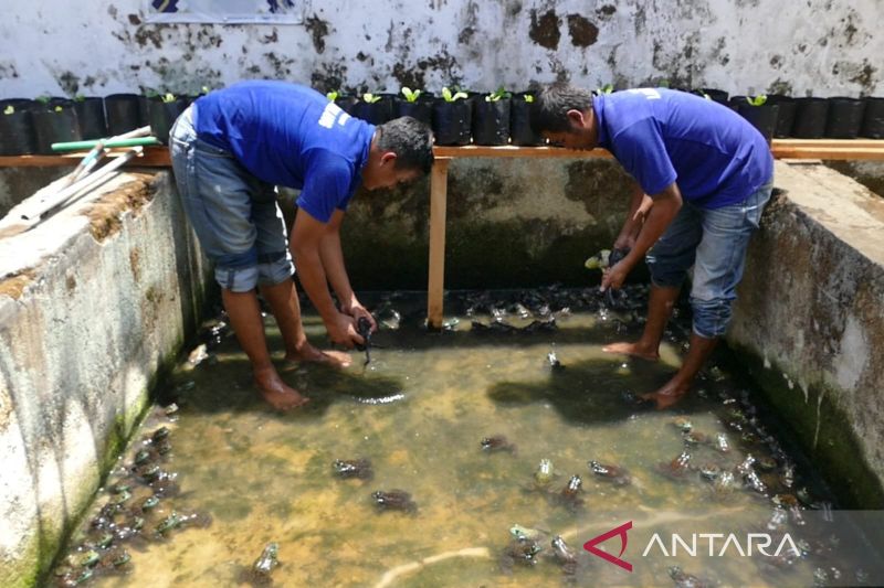 Bukan Sekadar Jalani Hukuman, Warga Binaan Lapas Magelang...