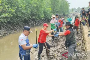Cegah Abrasi, Balai Karantina Papua Barat Daya Tanam 200 Bibit Mangrove 