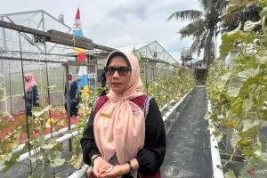 Dinas Pertanian Kota Padang Siapkan Dukungan Pembiayaan bagi Petani Muda
