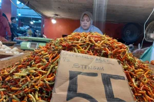 Inflasi Sulut Capai 4,2 Persen, Harga Cabai Jadi Biang Kerok?