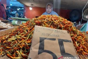 Pengamat: Harga Cabai Tinggi Bisa Mendorong Inflasi Sulawesi Utara 4,2 Persen
