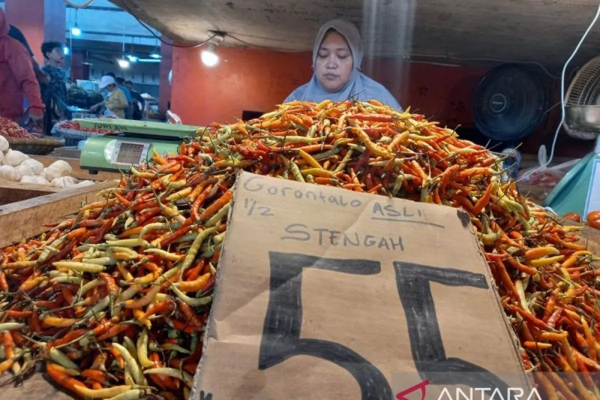 Pengamat: Harga Cabai Tinggi Bisa Mendorong Inflasi Sulaw...
