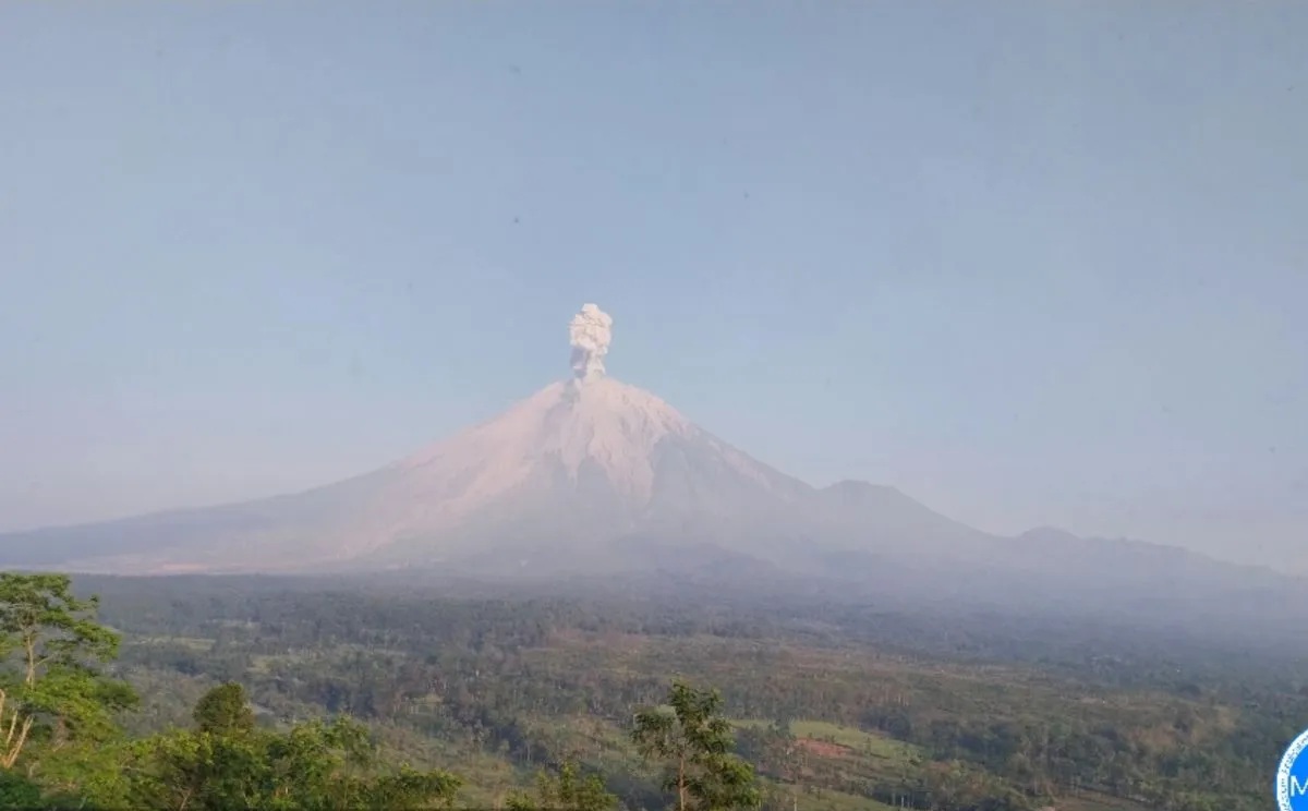 Gunung Semeru Kembali Erupsi, Letusannya Setinggi 1.300 M...