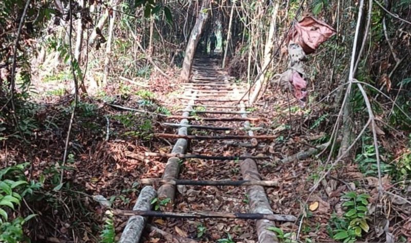 Kemenhut Telusuri Keterlibatan Pihak Lain dalam Pembalaka...