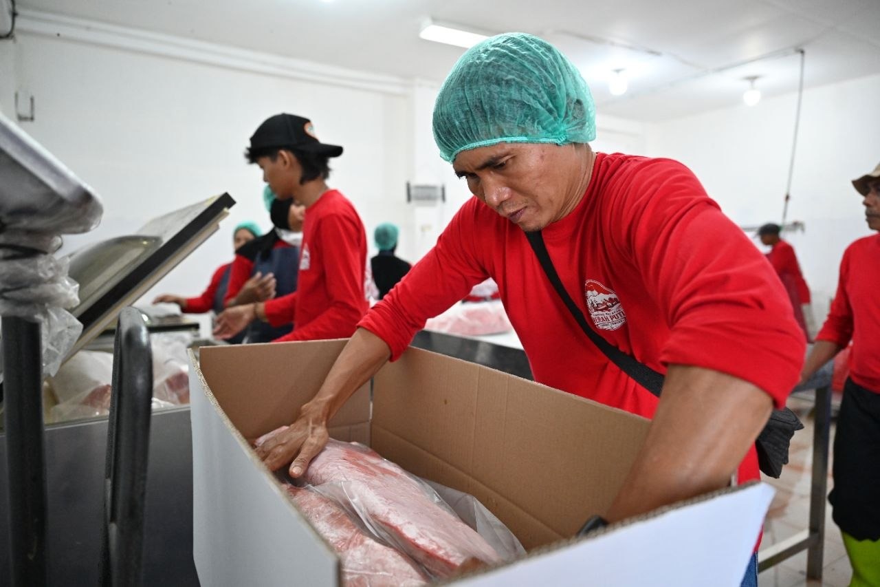 Operasional Kampung Nelayan Merah Putih Bikin Penghasilan Nelayan Tongke-Tongke Melonjak 