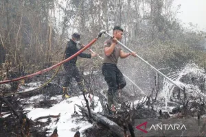 Gunakan Metode Suntik Gambut. Polda Kalsel Padamkan Karhutla 6,7 Hektare di Gambut.