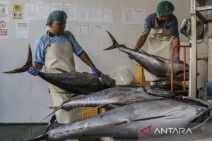 Kualitas Dipertaruhkan, Barantin Desak Eksportir Perikanan Sulteng Berbenah