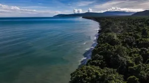  Laut Papua Seluas 162 Ribu Ha Resmi Jadi Kawasan Konservasi