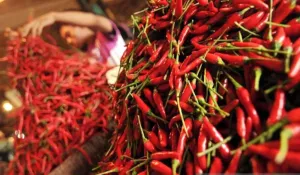 PIHPS Catat Harga Cabai Rawit Rp113.750/kg, Telur Ayam Rp29.400/kg