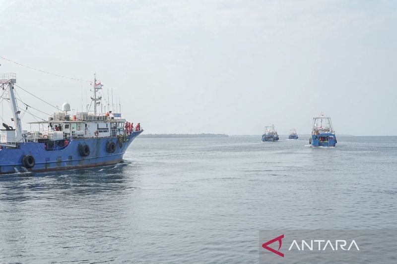 33 Kapal TCG di Tual Diproyeksikan Hasilkan 9.458 Ton Ika...