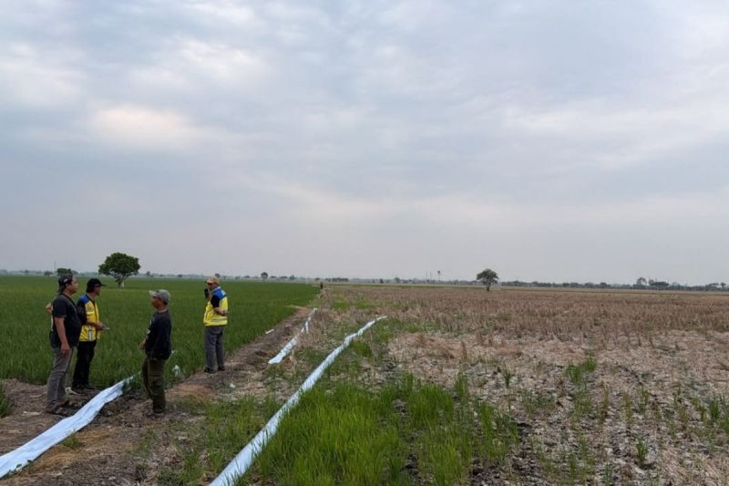 Atasi Kekeringan Sawah di Bekasi, BBWS Citarum Operasikan 3 Unit Pompa.